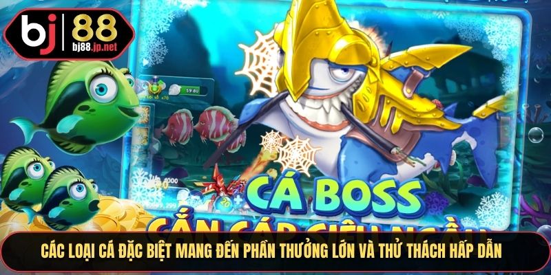Các loại cá đặc biệt mang đến phần thưởng lớn và thử thách hấp dẫn