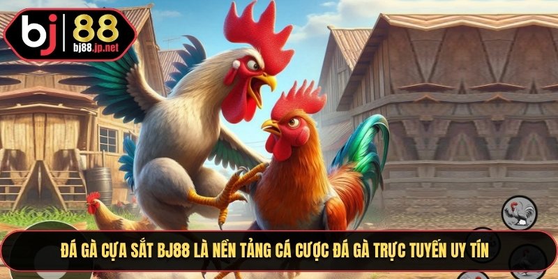 Đá gà cựa sắt BJ88 là nền tảng cá cược đá gà trực tuyến uy tín