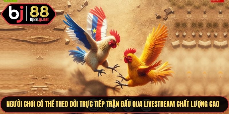 Người chơi có thể theo dõi trận đấu qua các buổi livestream chất lượng HD cực cao
