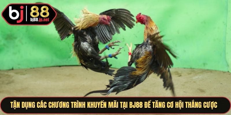 Tận dụng các chương trình khuyến mãi tại BJ88 để tăng cơ hội thắng cược