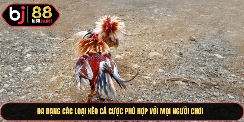 Đa dạng các loại kèo cá cược phù hợp với mọi người chơi