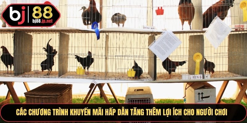 Các chương trình khuyến mãi siêu hấp dẫn để tăng thêm lợi ích cho người chơi